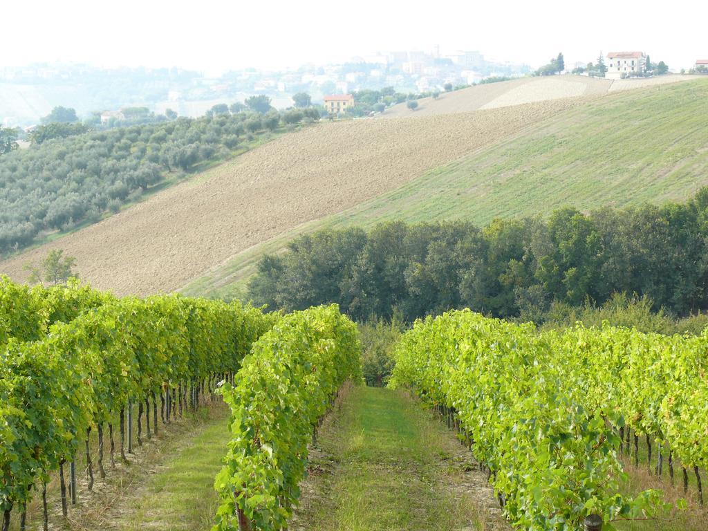 Agriturismo Al Rifugio Divino Belvedere Ostrense Bagian luar foto